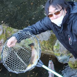 小菅トラウトガーデン 釣果
