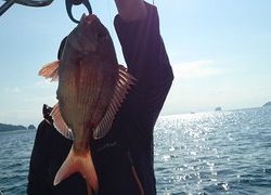 愛裕南丸 釣果