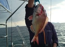 愛裕南丸 釣果
