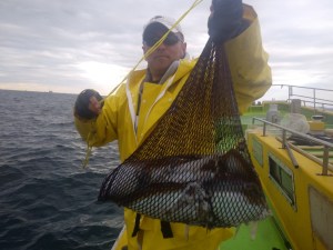 濱生丸 釣果