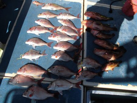 十八宝洋丸 釣果