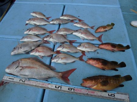 十八宝洋丸 釣果