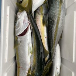 海龍丸(福岡) 釣果