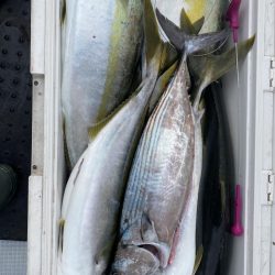 海龍丸(福岡) 釣果