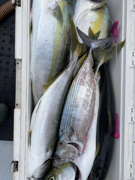 海龍丸(福岡) 釣果