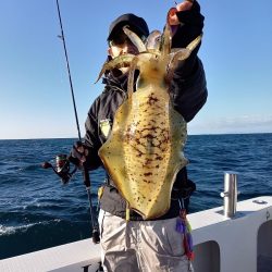 フィッシングボートACE(エース) 釣果