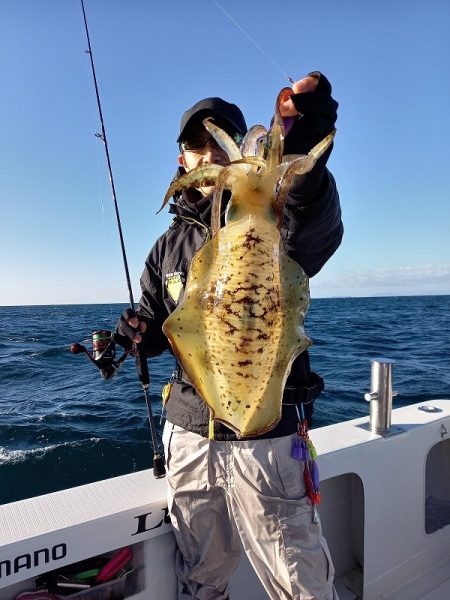 フィッシングボートACE(エース) 釣果