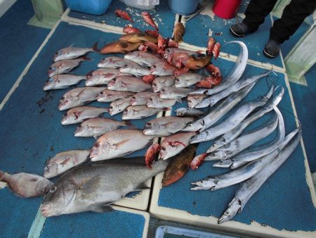 十八宝洋丸 釣果