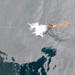 フィッシングボートACE（エース） 釣果