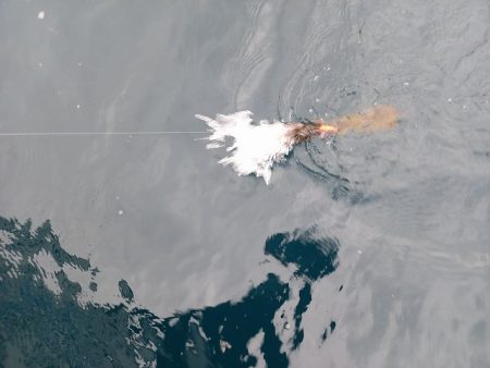 フィッシングボートACE（エース） 釣果