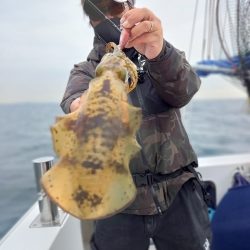 フィッシングボートACE（エース） 釣果