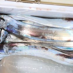 松本釣船２ 釣果