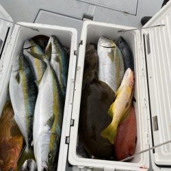 海龍丸（福岡） 釣果