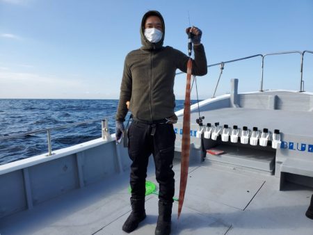 ブルーピア 釣果