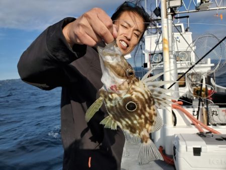 ブルーピア 釣果