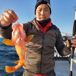 ブルーピア 釣果