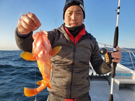 ブルーピア 釣果