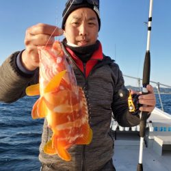 ブルーピア 釣果