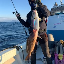 マタウマリンサービス 釣果