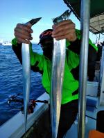 おおせき丸 釣果