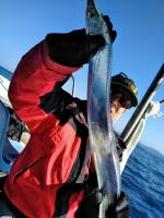 おおせき丸 釣果