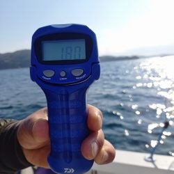 フィッシングボートACE（エース） 釣果