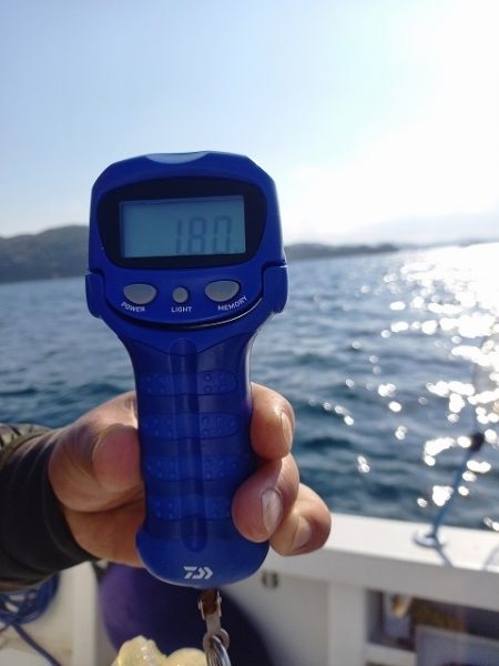 フィッシングボートACE（エース） 釣果