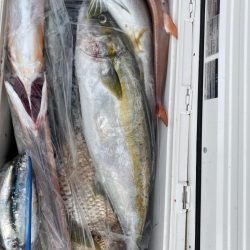 海龍丸（福岡） 釣果