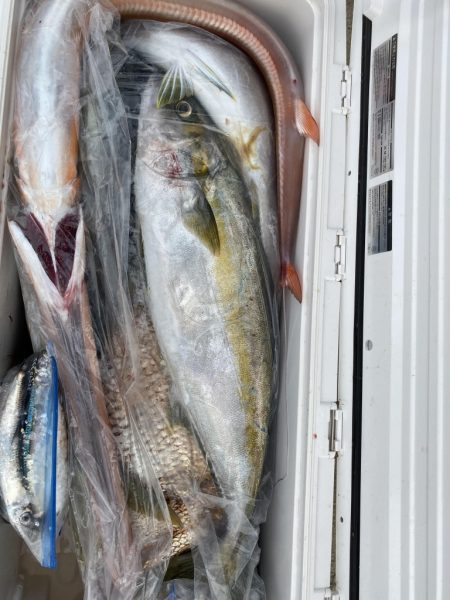海龍丸（福岡） 釣果