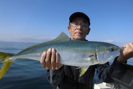 ルアー船マヒマヒ 釣果