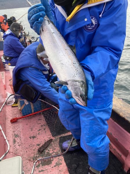 第八平成丸 釣果