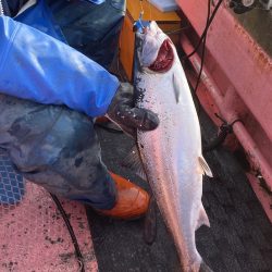 第八平成丸 釣果