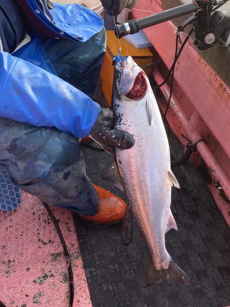 第八平成丸 釣果