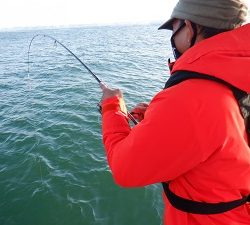 遊漁船 幸友丸 釣果