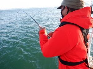 遊漁船 幸友丸 釣果