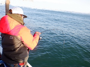 遊漁船 幸友丸 釣果