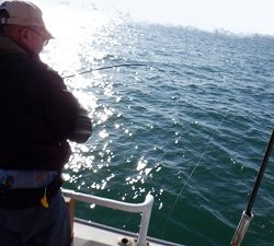 遊漁船 幸友丸 釣果