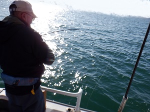 遊漁船 幸友丸 釣果