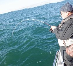 遊漁船 幸友丸 釣果