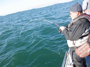 遊漁船 幸友丸 釣果