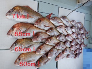 遊漁船 幸友丸 釣果