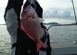愛裕南丸 釣果