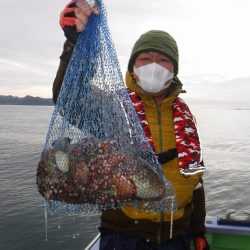 川崎丸 釣果