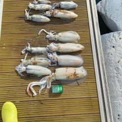 フィッシングボートACE(エース) 釣果