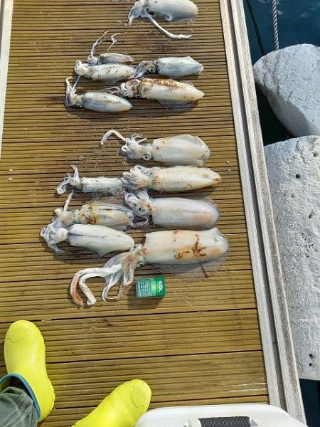 フィッシングボートACE(エース) 釣果