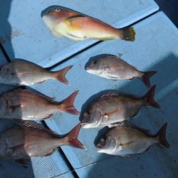 十八宝洋丸 釣果