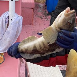 第八平成丸 釣果