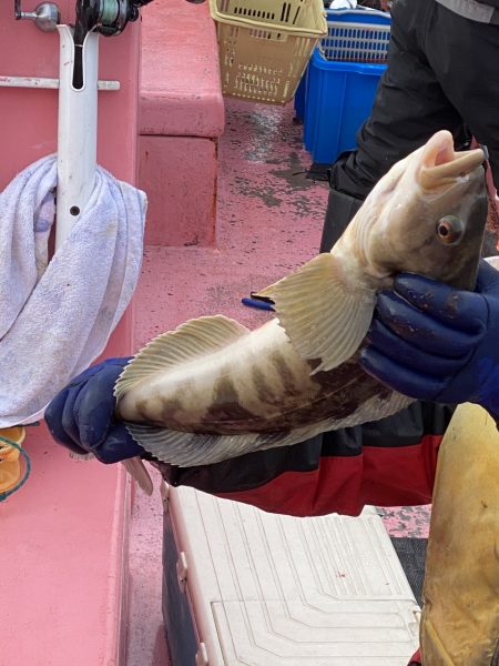 第八平成丸 釣果