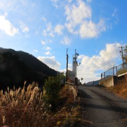 小菅トラウトガーデン 釣果