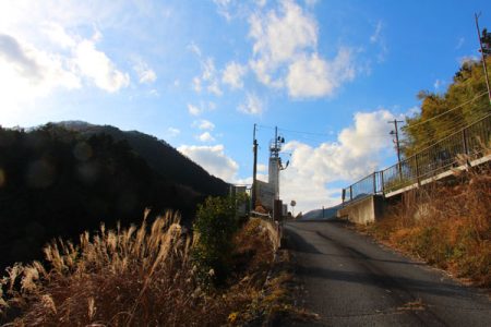 小菅トラウトガーデン 釣果